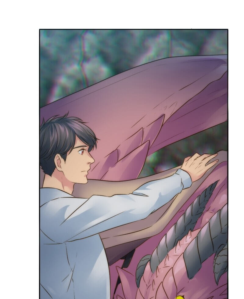 The Dragon Prince