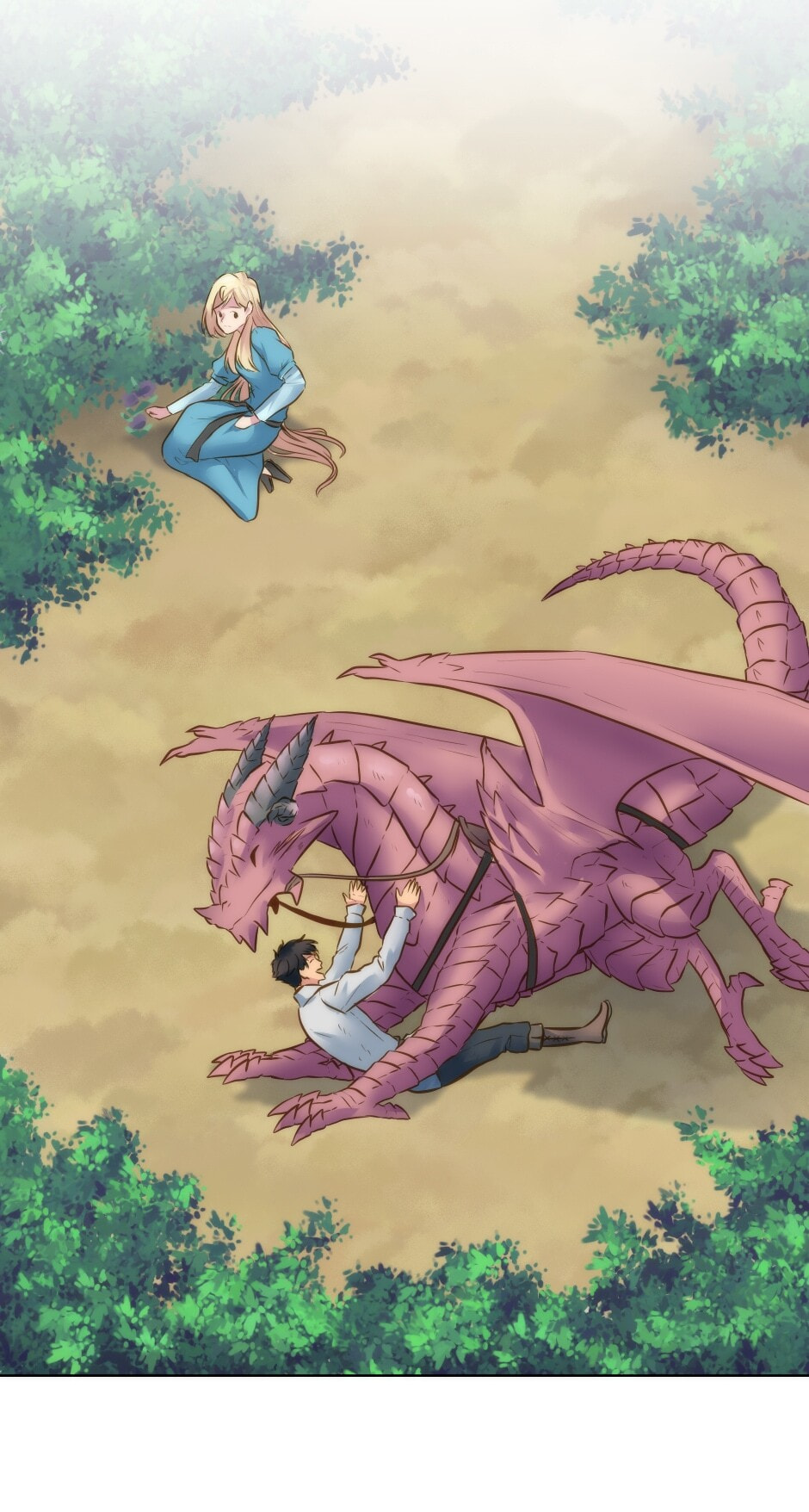 The Dragon Prince