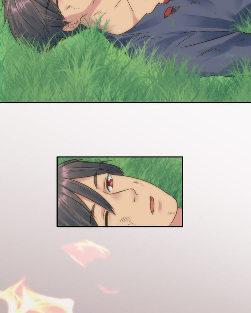 The Dragon Prince