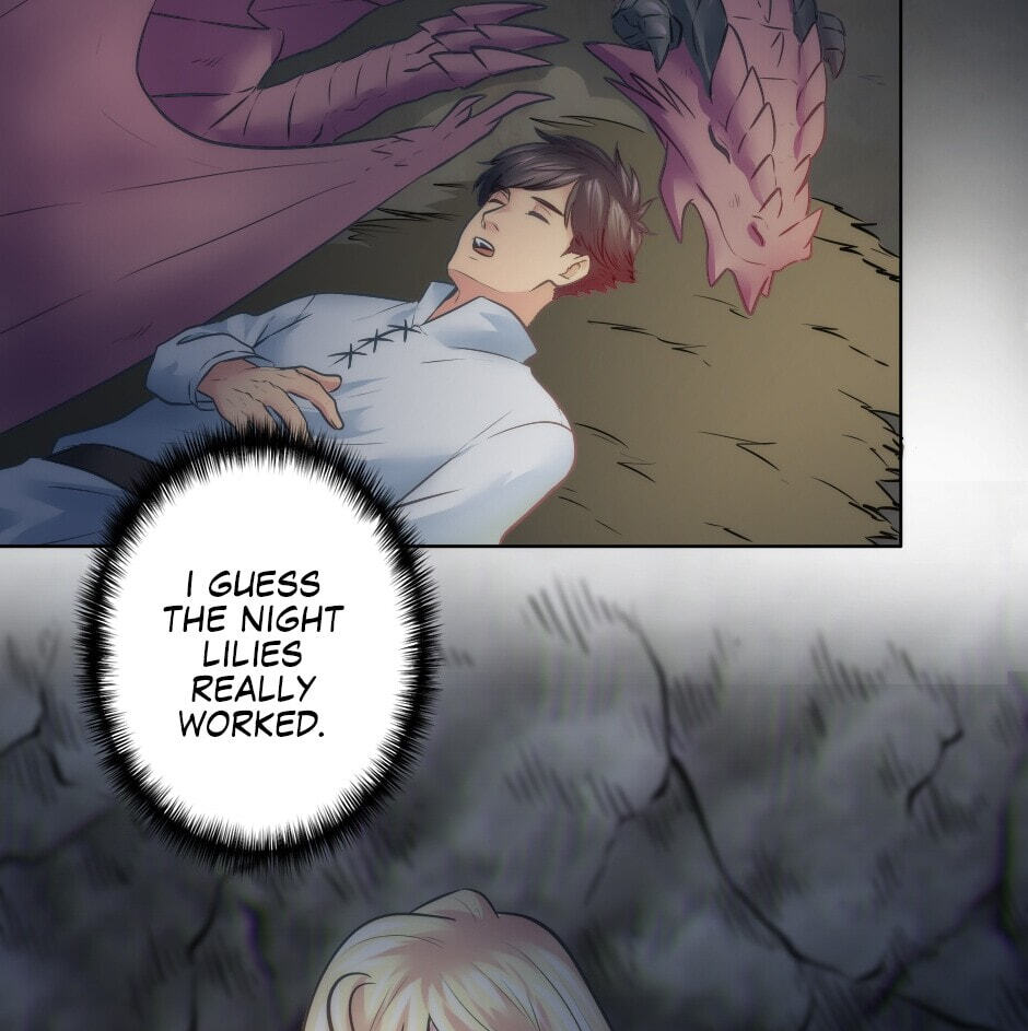 The Dragon Prince