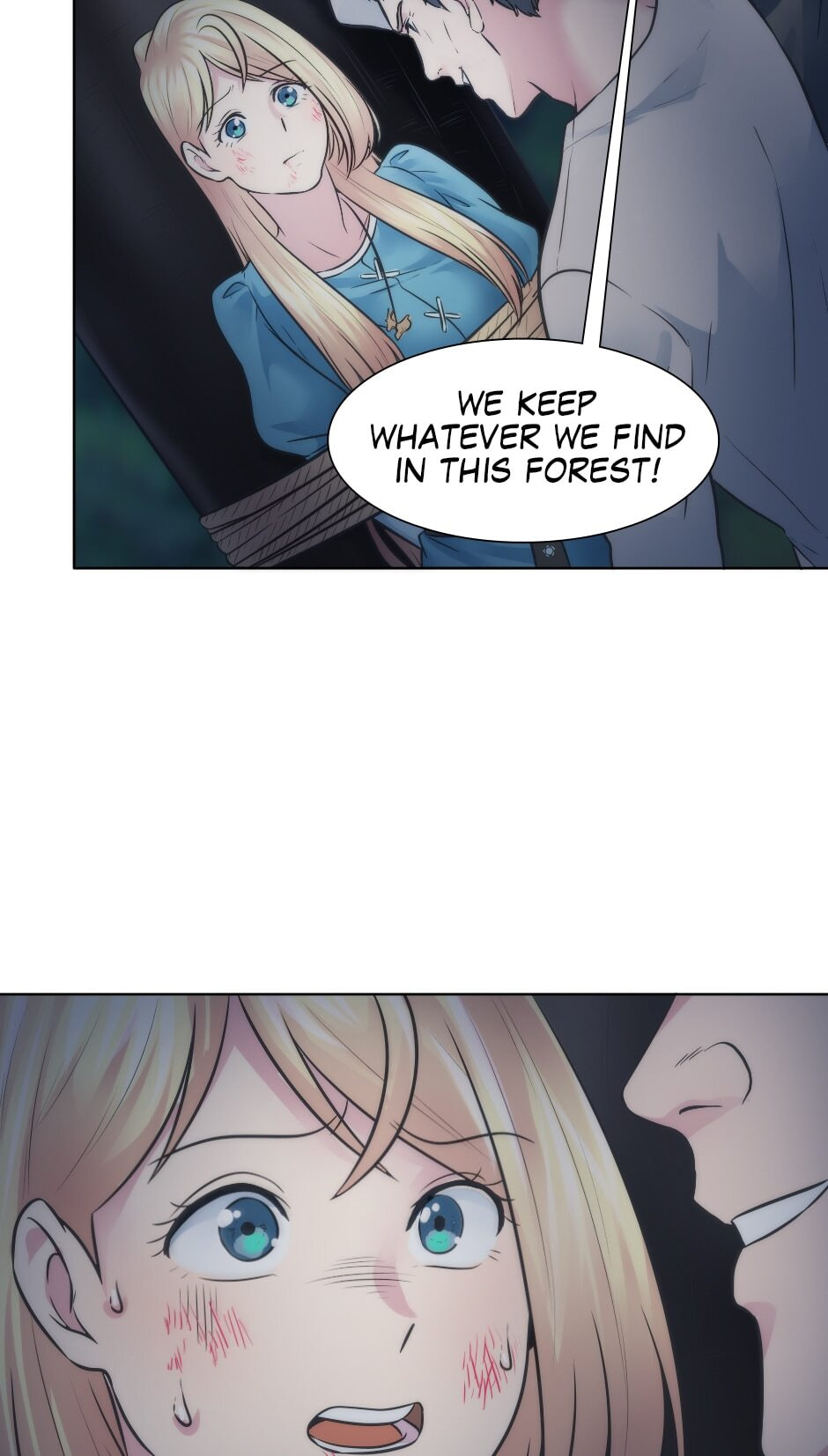 The Dragon Prince