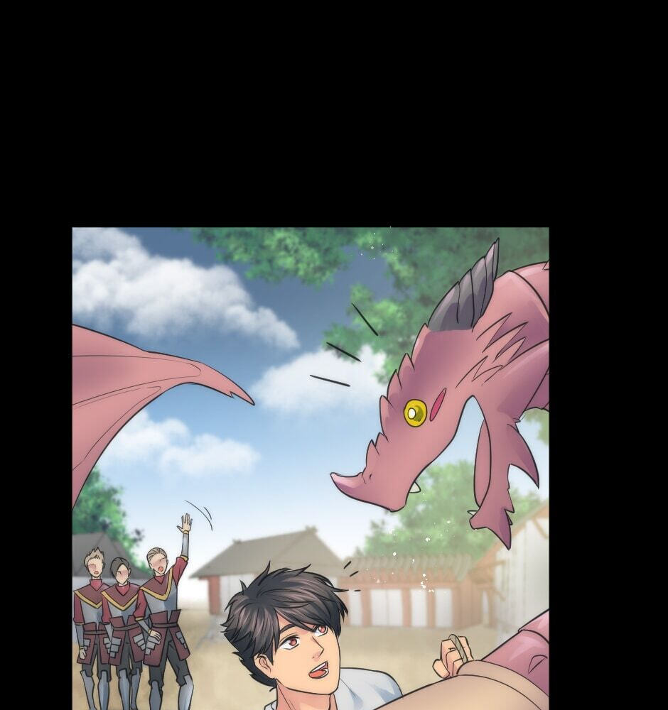 The Dragon Prince