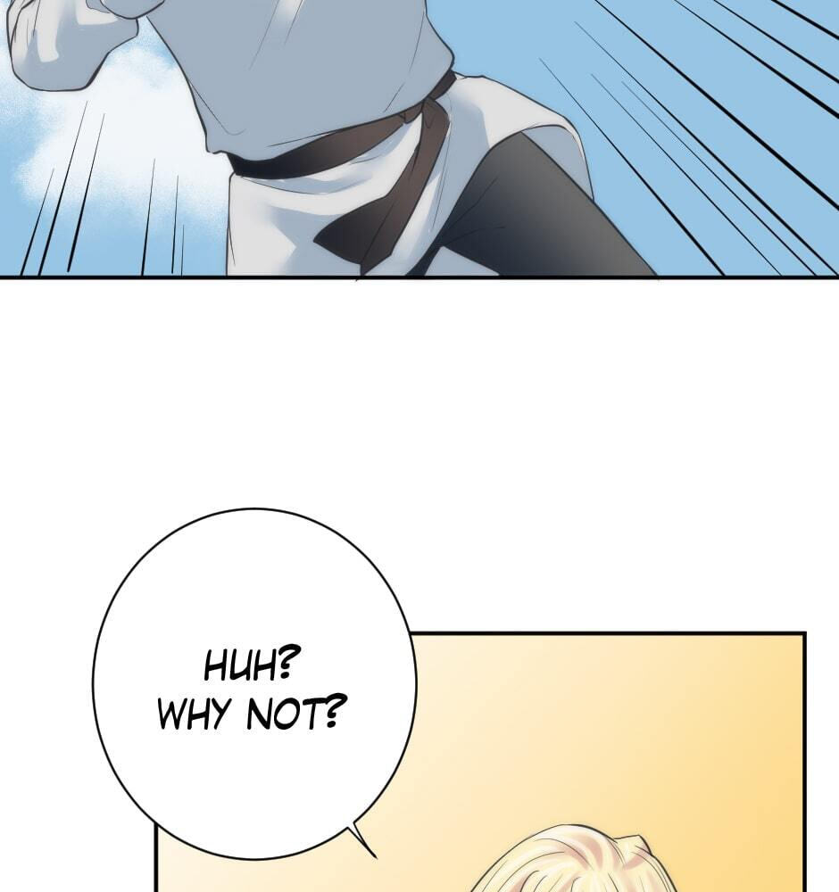 The Dragon Prince