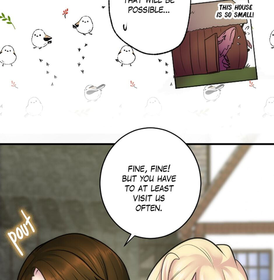 The Dragon Prince
