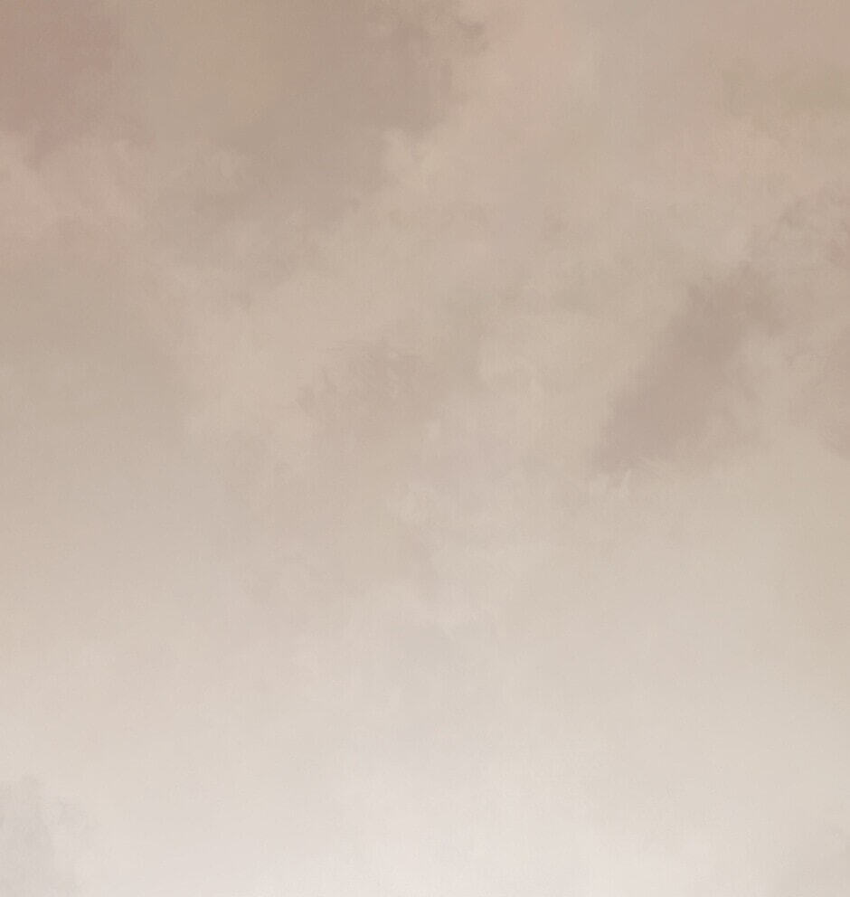 The Dragon Prince