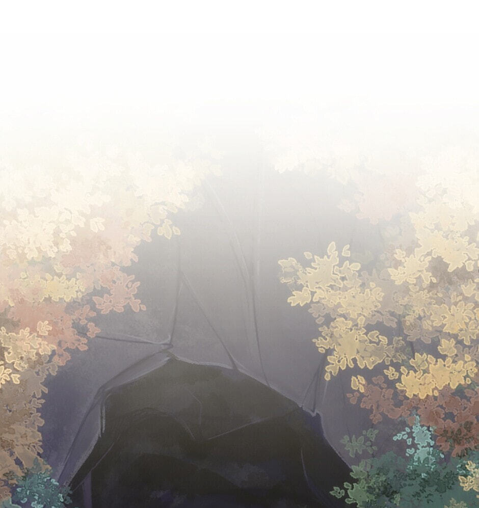 The Dragon Prince