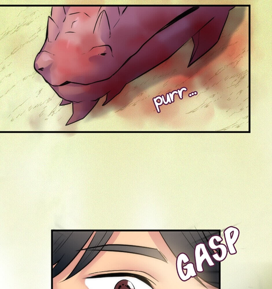 The Dragon Prince