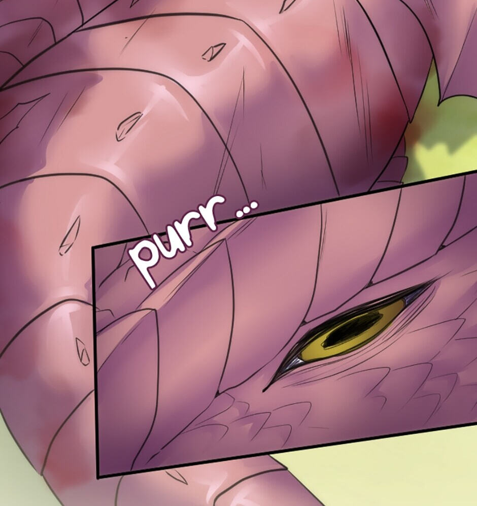 The Dragon Prince