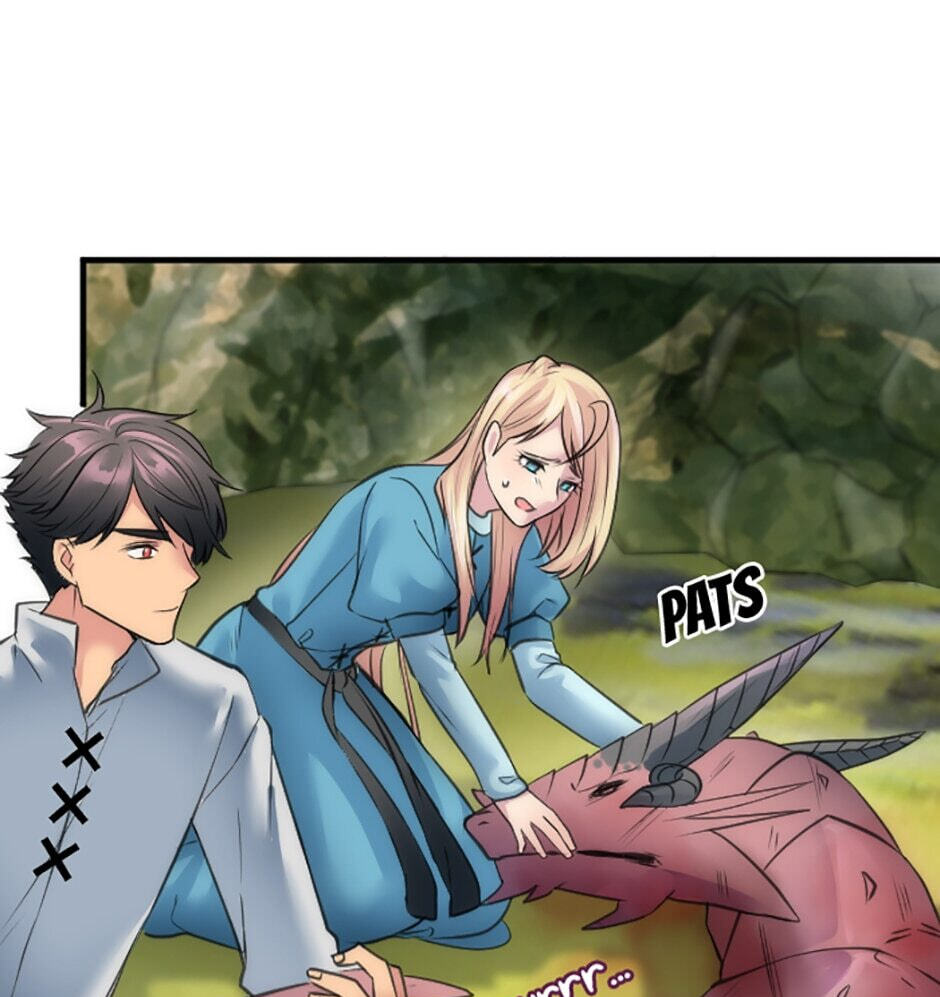 The Dragon Prince