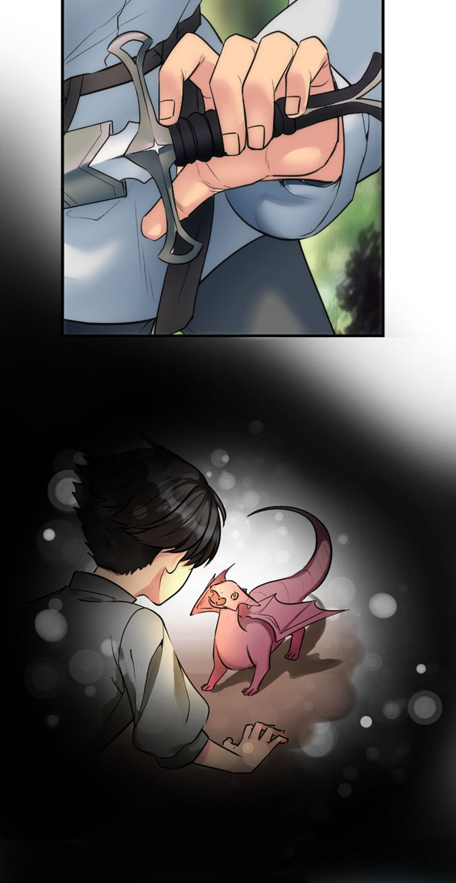 The Dragon Prince