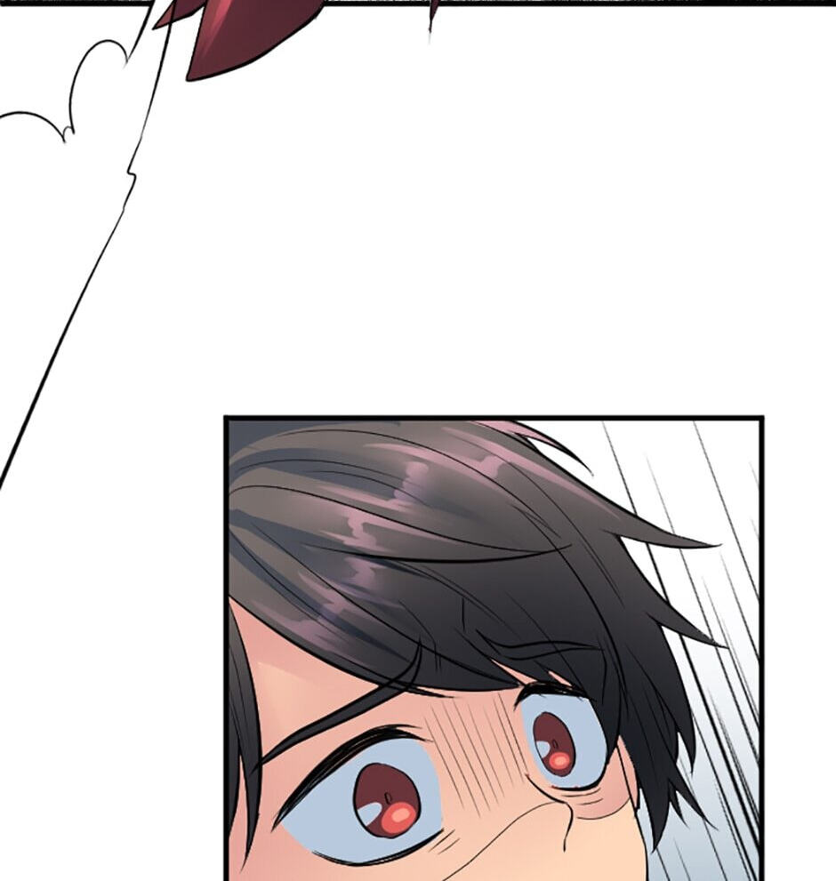 The Dragon Prince