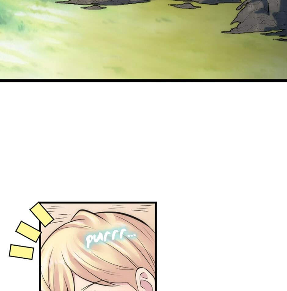 The Dragon Prince