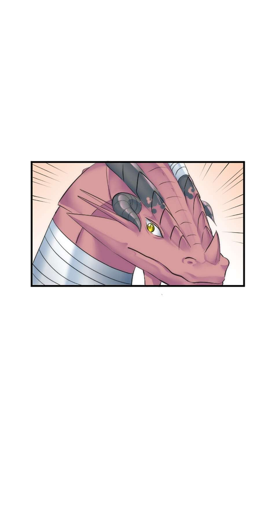 The Dragon Prince