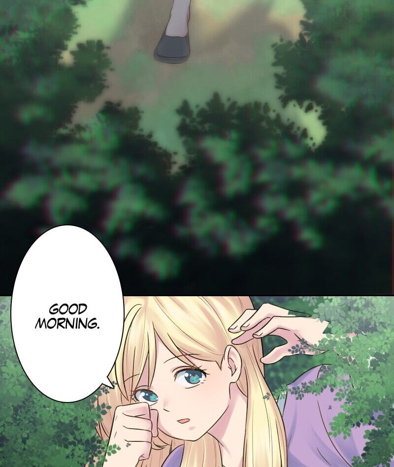 The Dragon Prince