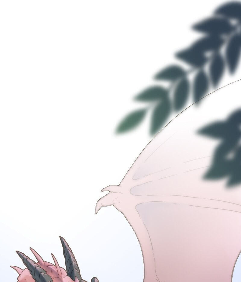 The Dragon Prince