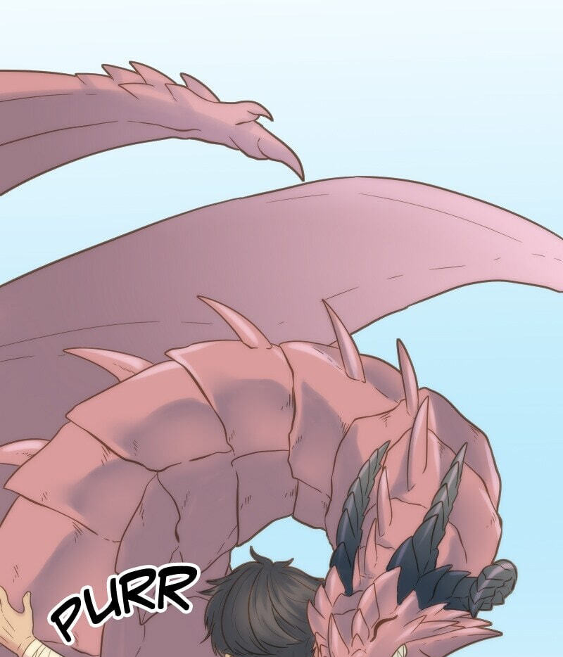 The Dragon Prince