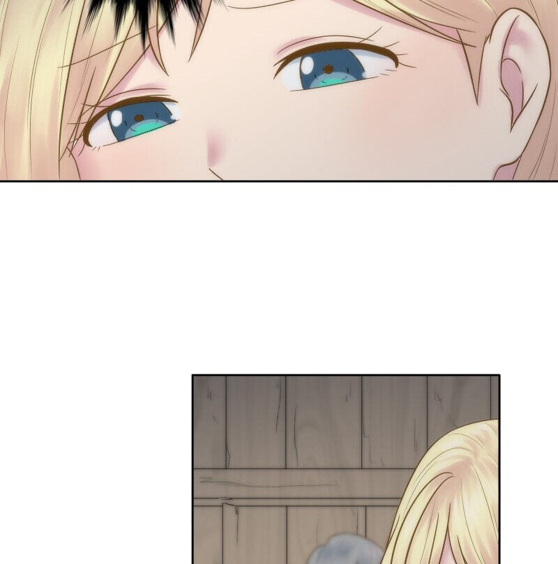 The Dragon Prince