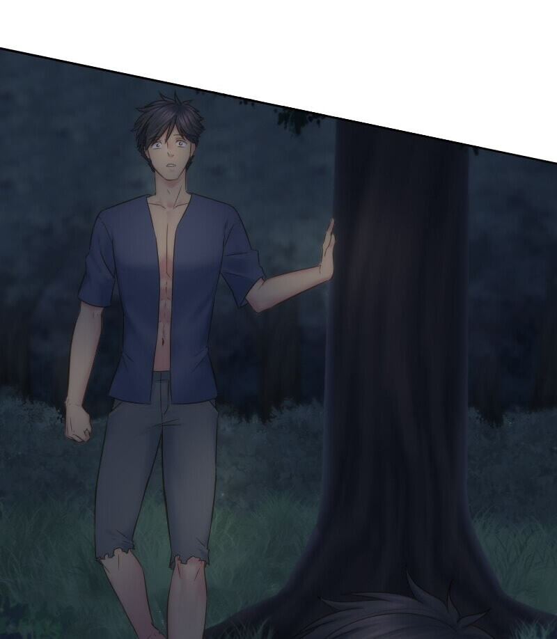 The Dragon Prince