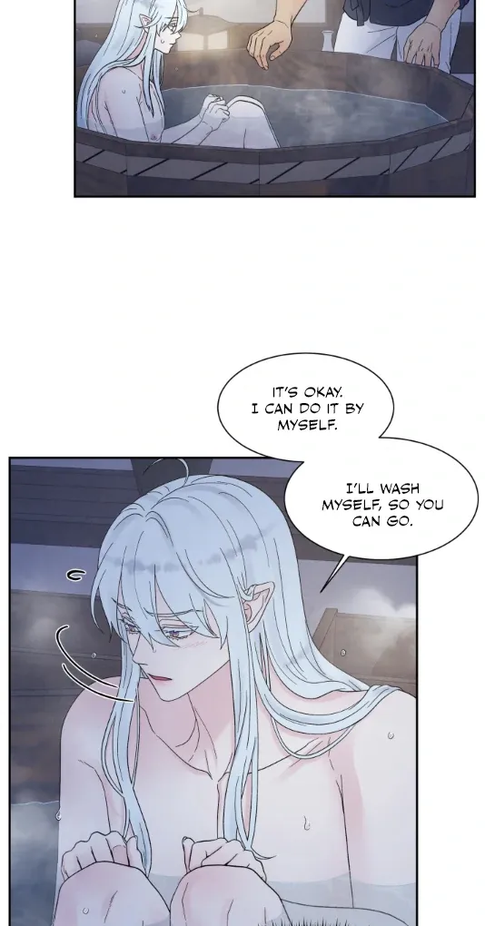 The Dragon