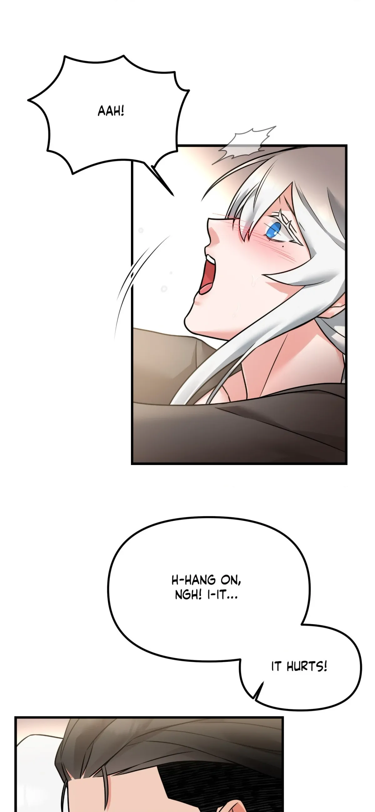The Dragon