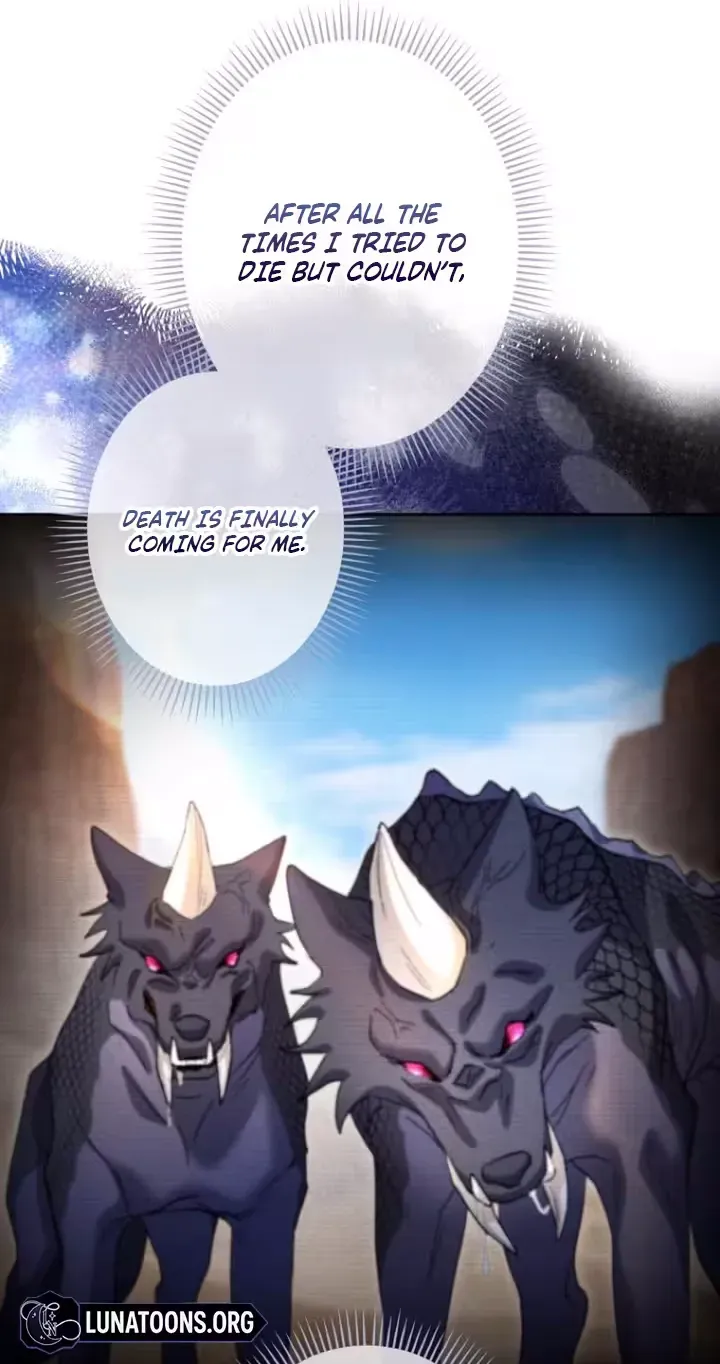 The Dragon
