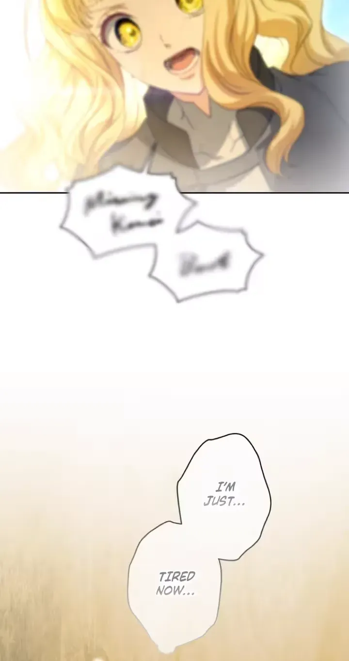 The Dragon