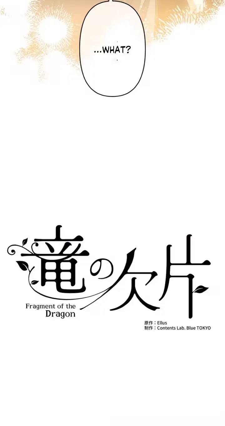 The Dragon