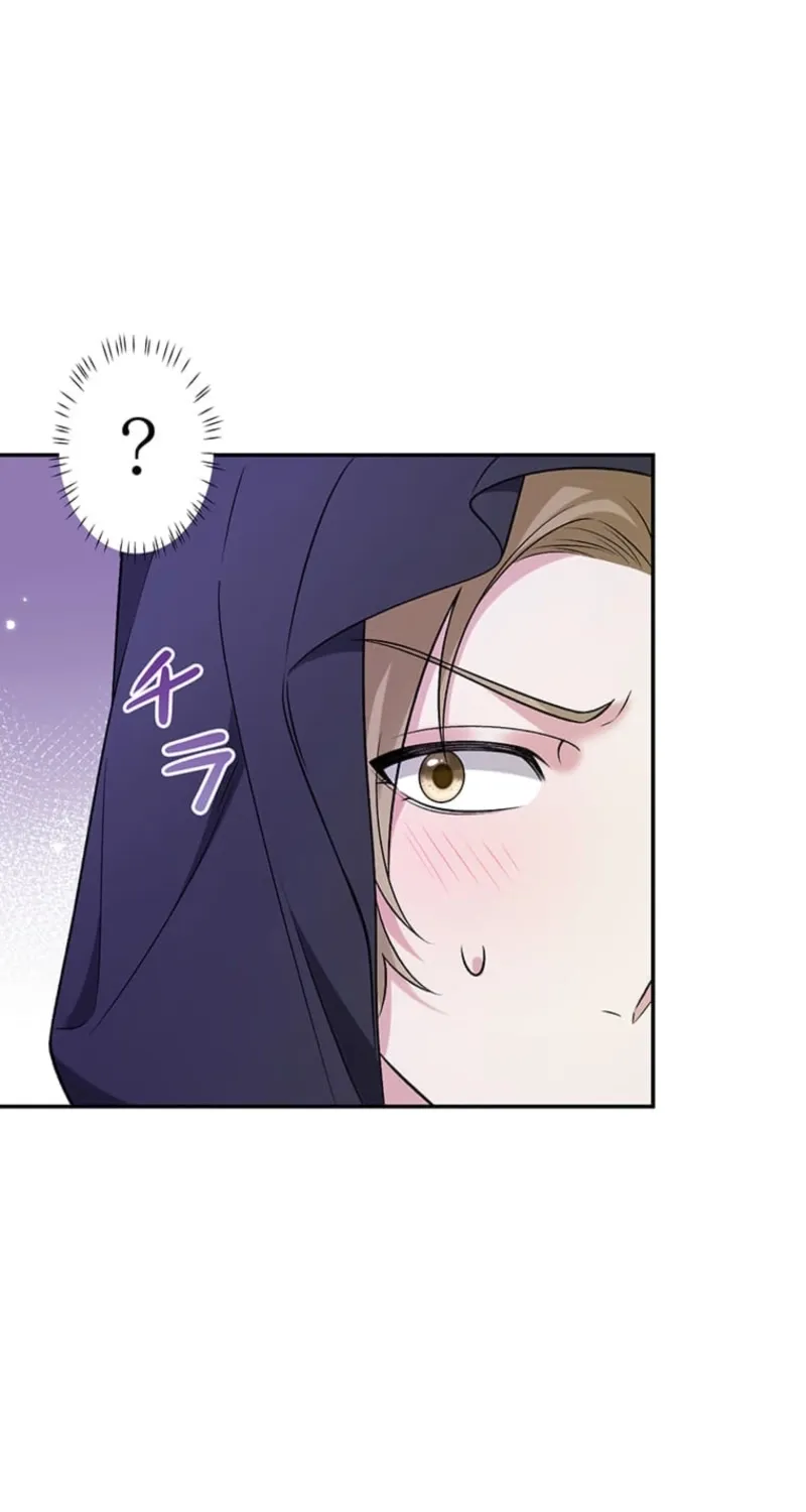 The Duchess Decides to Have an Affair Chapter 11 page 110 - 
