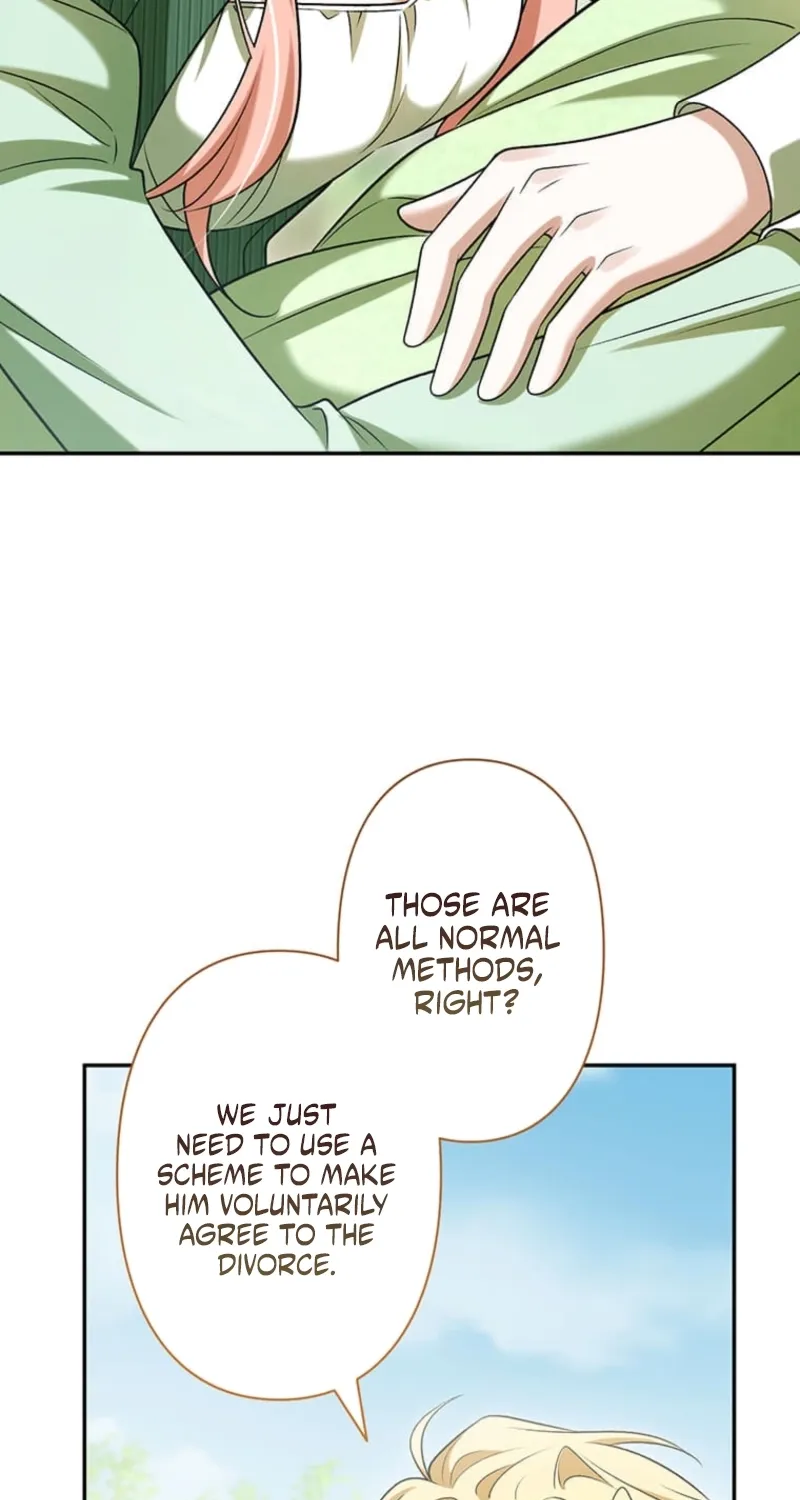 The Duchess Decides to Have an Affair Chapter 13 page 117 - 