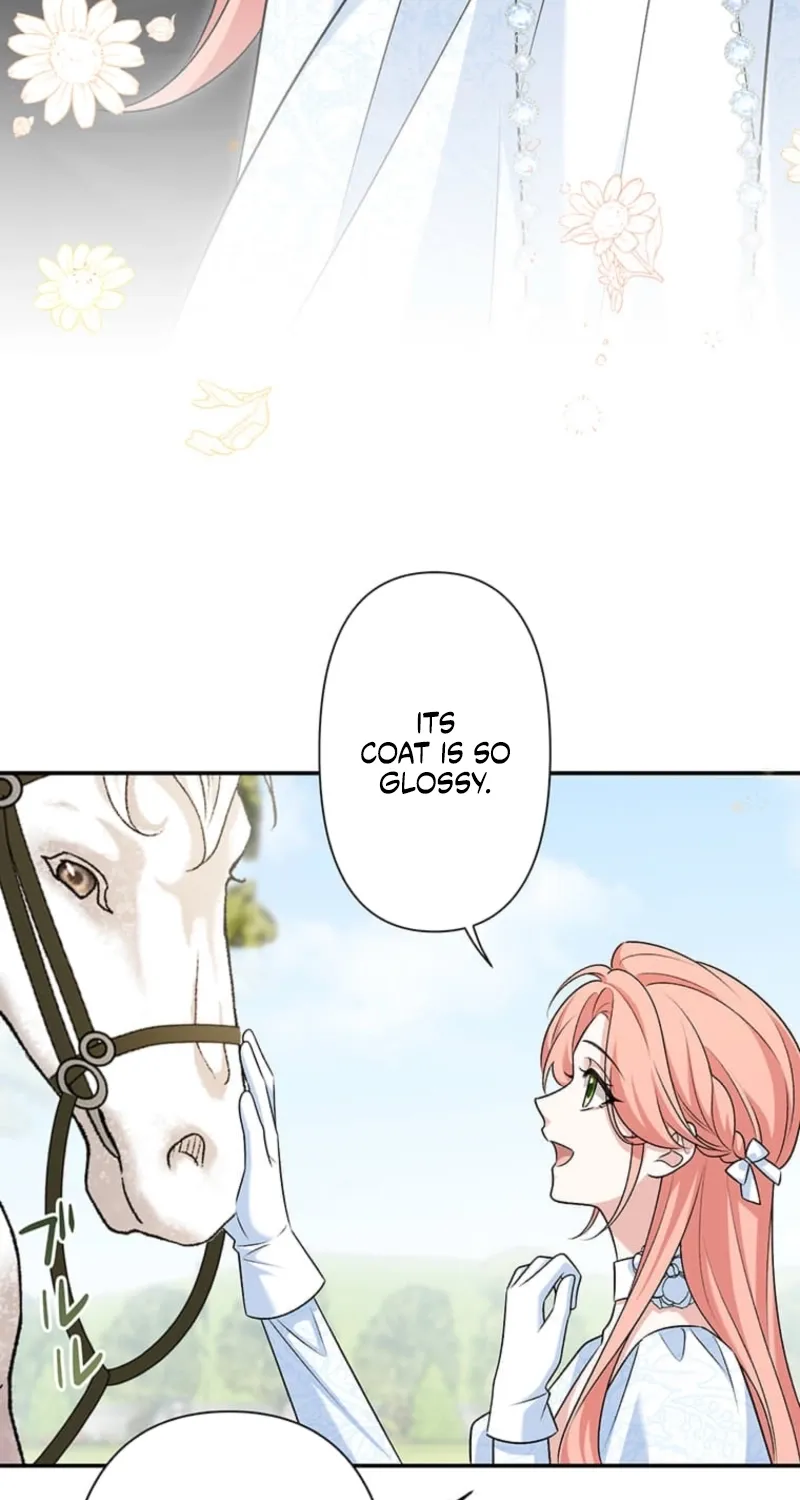The Duchess Decides to Have an Affair Chapter 17 page 36 - 