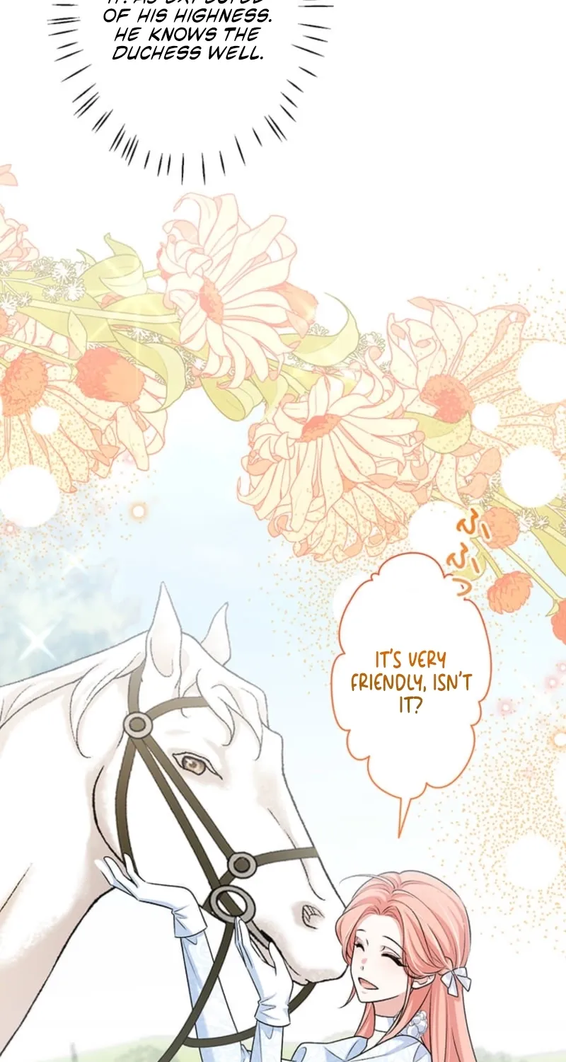 The Duchess Decides to Have an Affair Chapter 17 page 38 - 