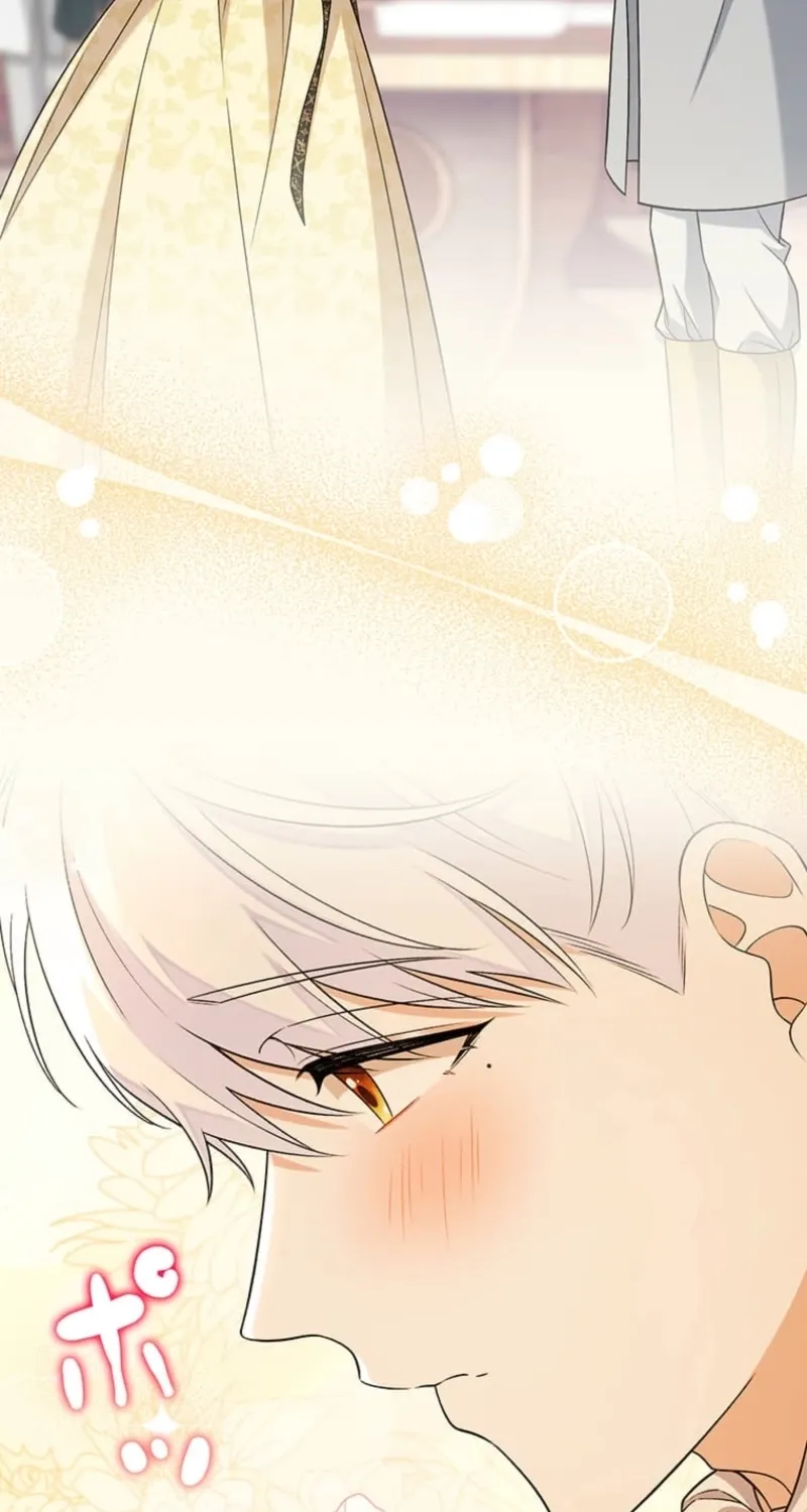 The Duchess Decides to Have an Affair Chapter 3 page 76 - 