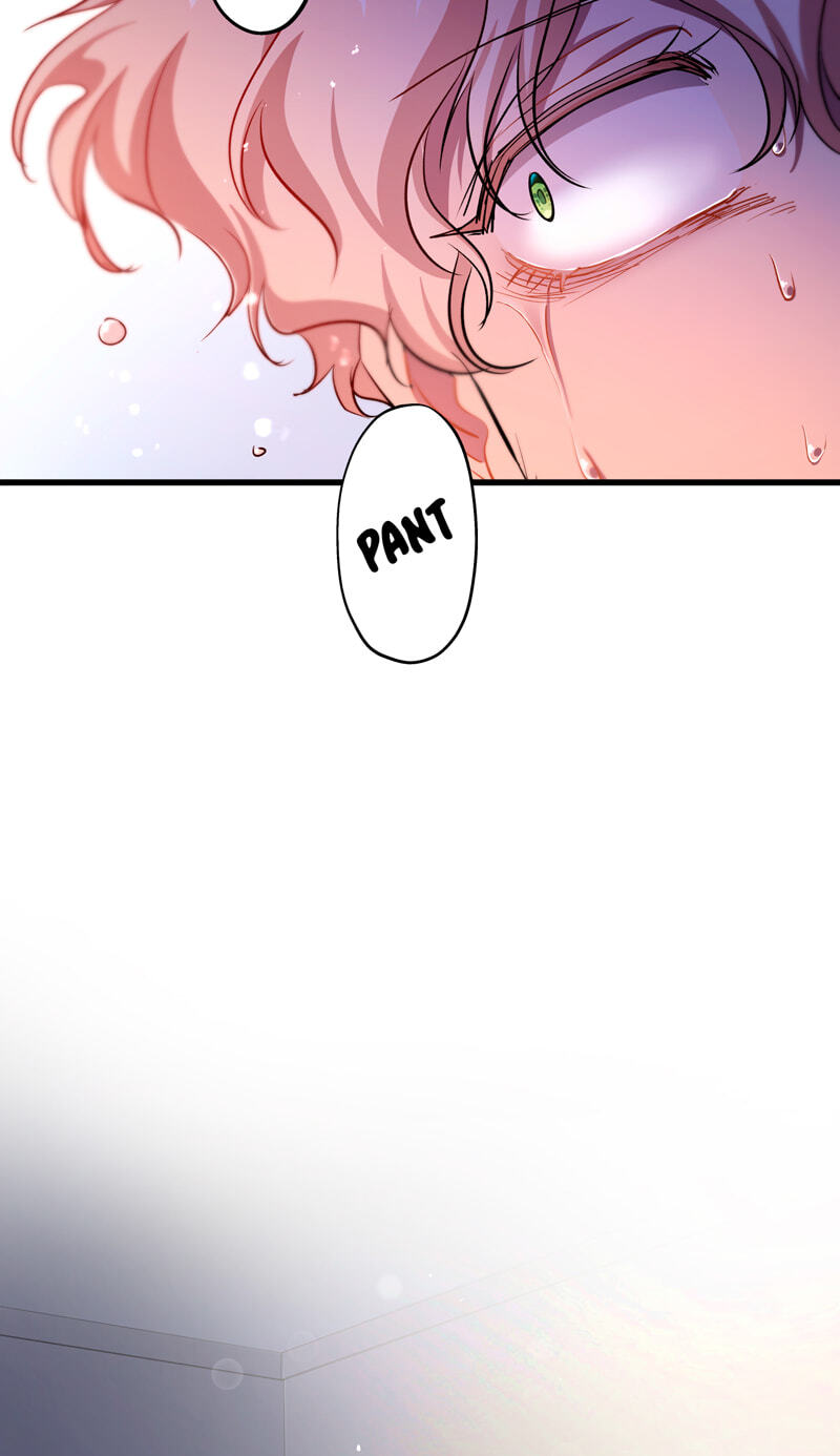 The Duchess Has a Deathwish (Colored) Chapter 39 page 69 - 