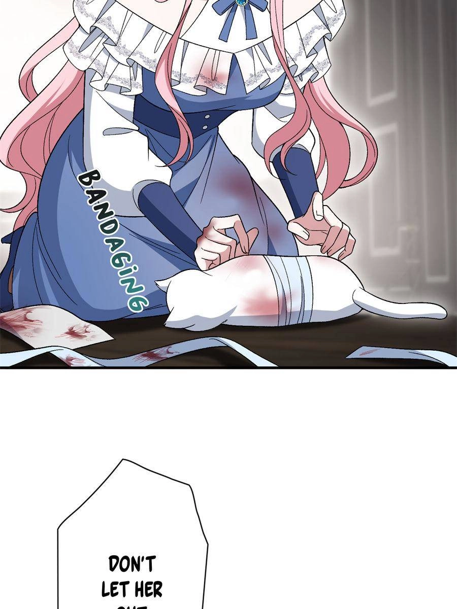 Duke