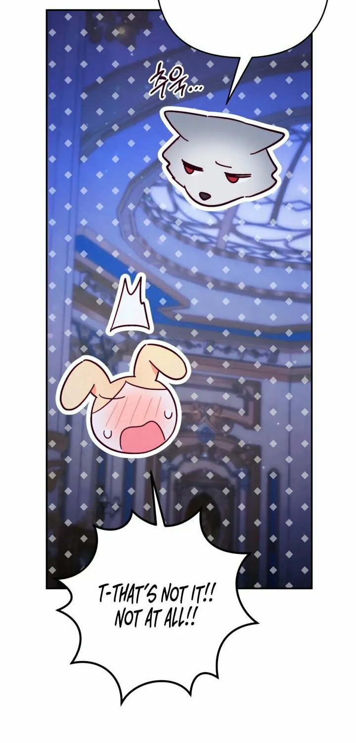 The Duke Wolf
