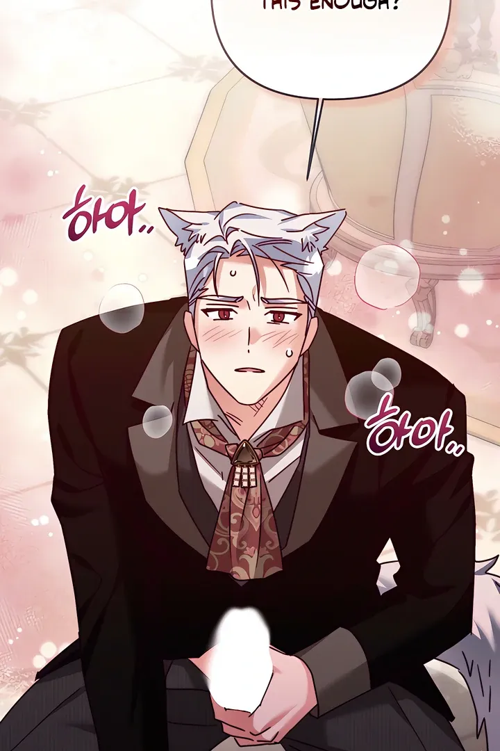 The Duke Wolf