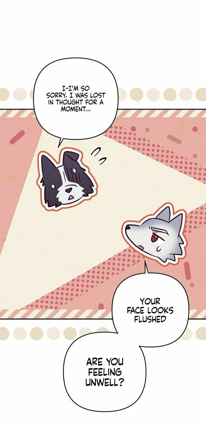 The Duke Wolf