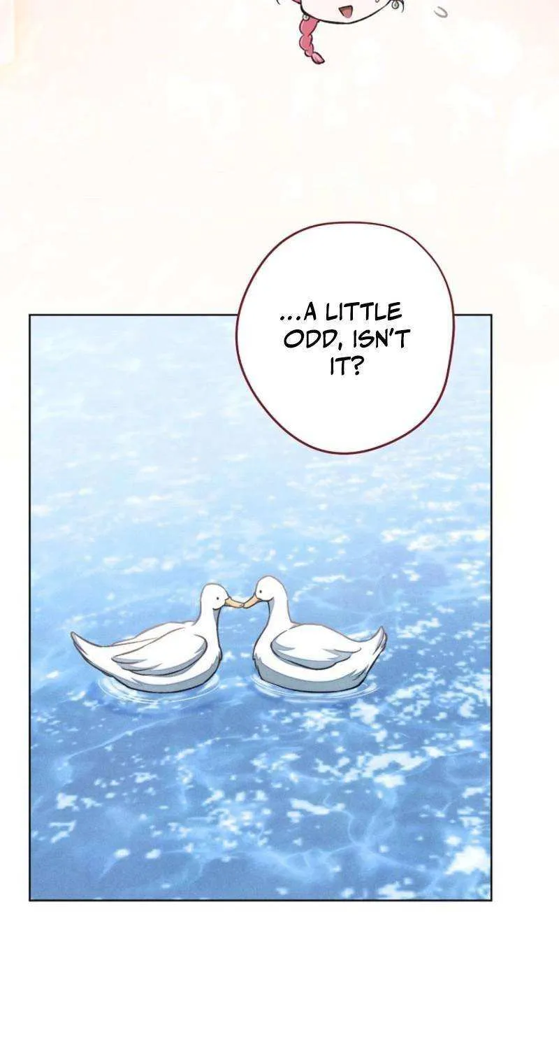 The Duke’s Obsession with His Wife Chapter 37 page 63 - 
