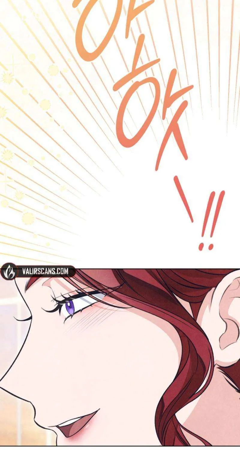 The Duke’s Obsession with His Wife Chapter 46 page 28 - 