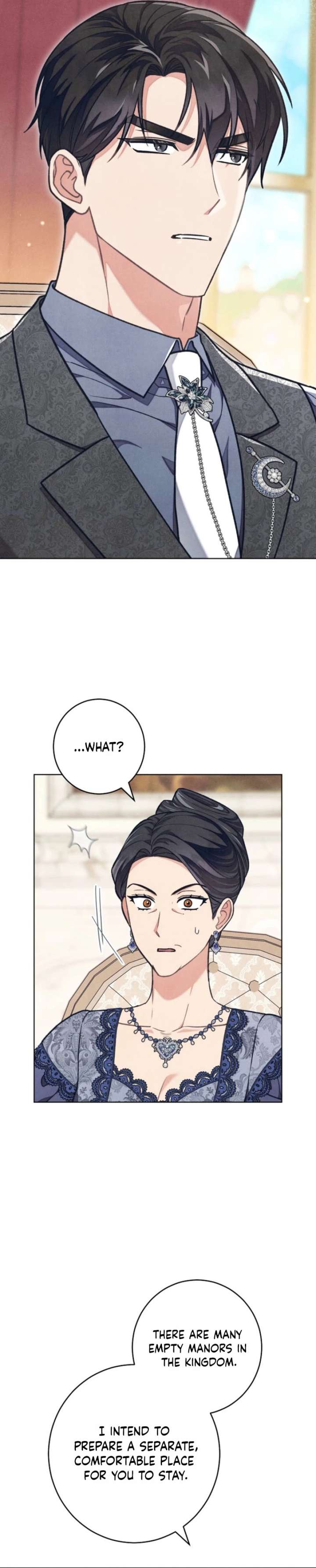 The Duke’s Obsession with His Wife Chapter 63 page 28 - 