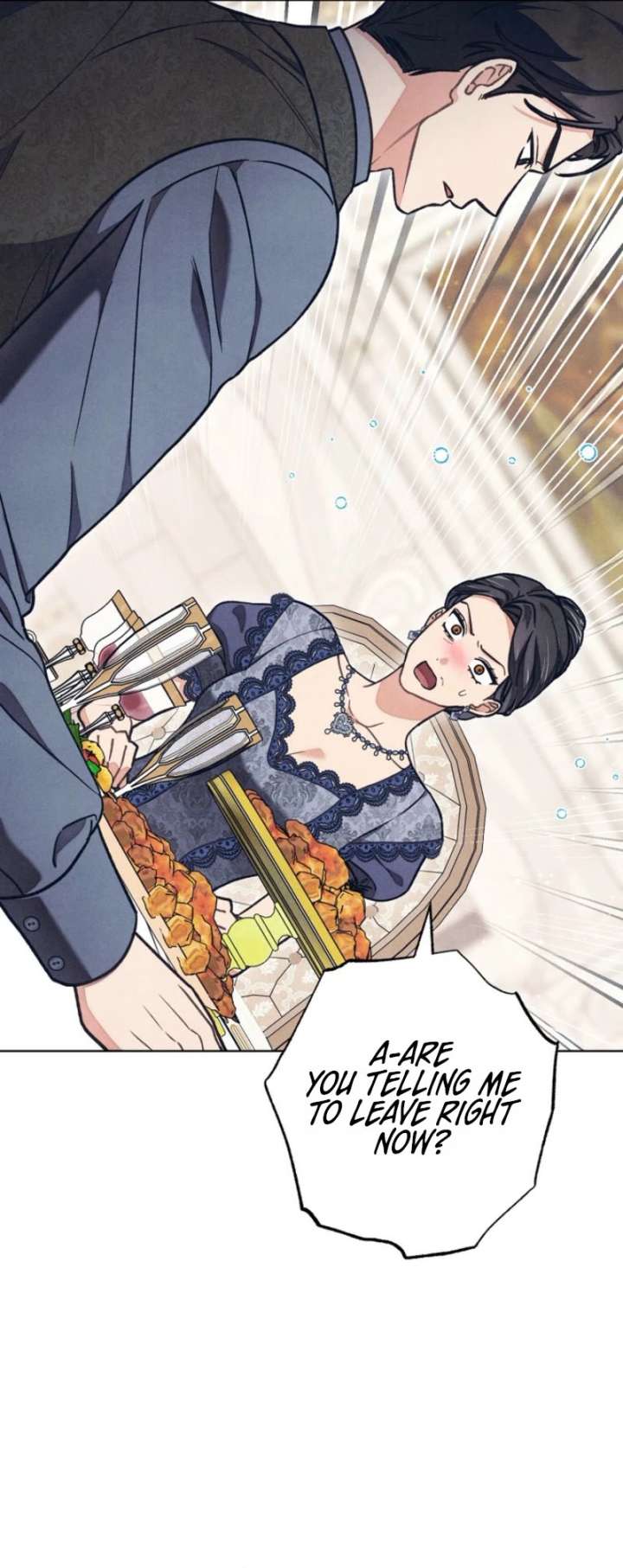 The Duke’s Obsession with His Wife Chapter 63 page 29 - 