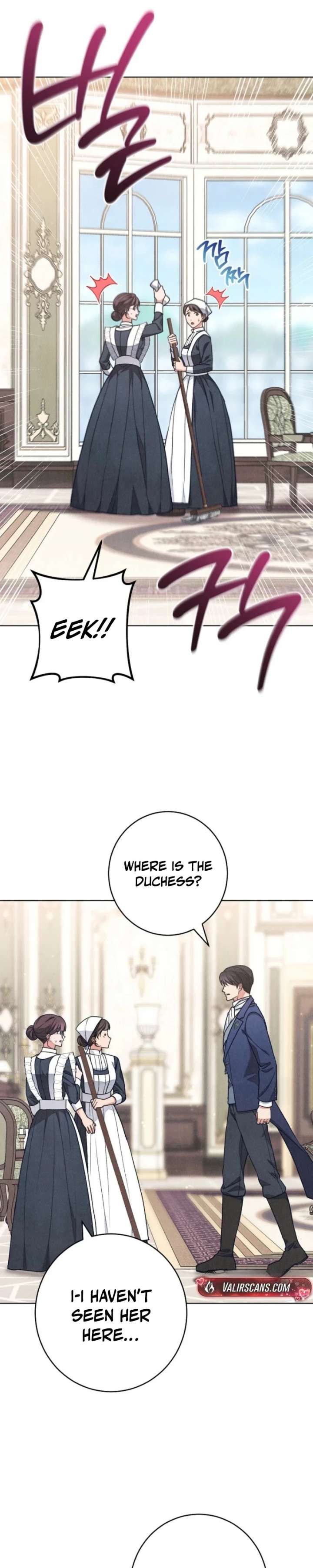 The Duke’s Obsession with His Wife Chapter 65 page 25 - 