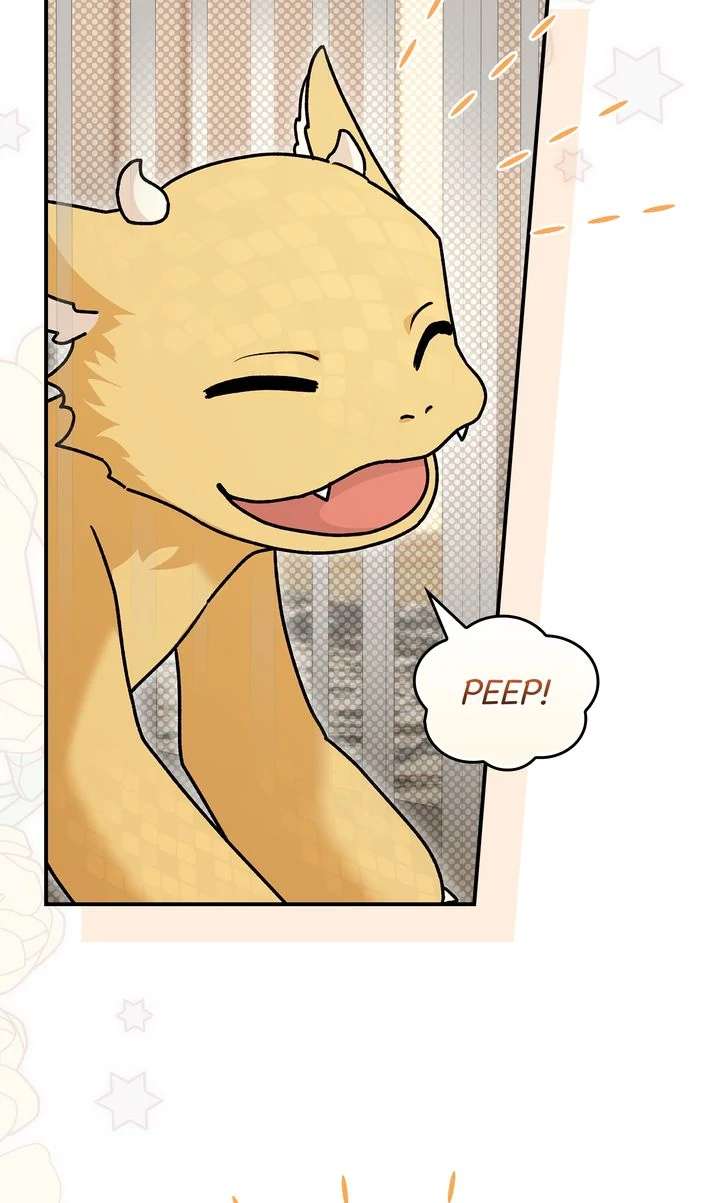 The Duke’s Plush Obsession Chapter 12 page 3 - 