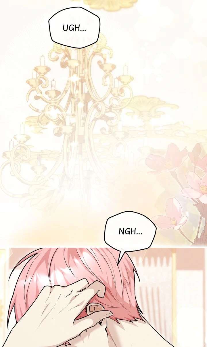 The Duke’s Plush Obsession Chapter 14 page 13 - 