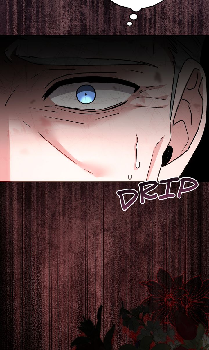 The Duke’s Plush Obsession Chapter 34 page 62 - 