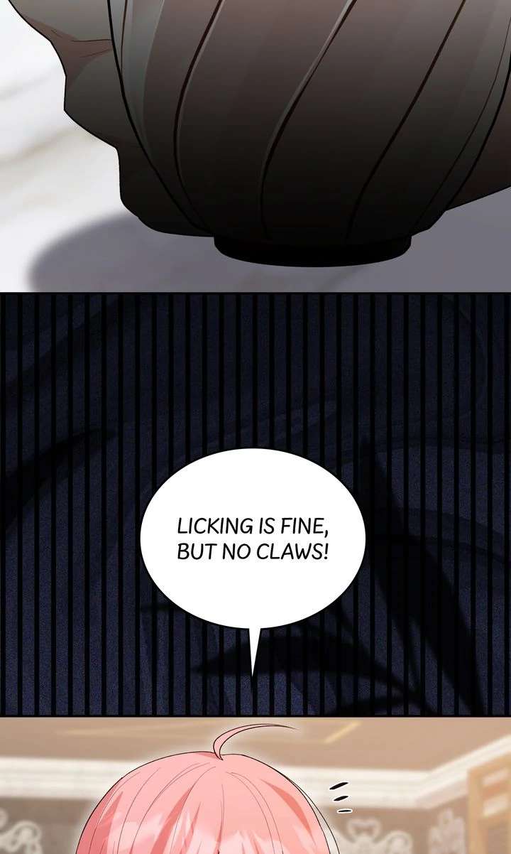 The Duke’s Plush Obsession Chapter 39 page 80 - 