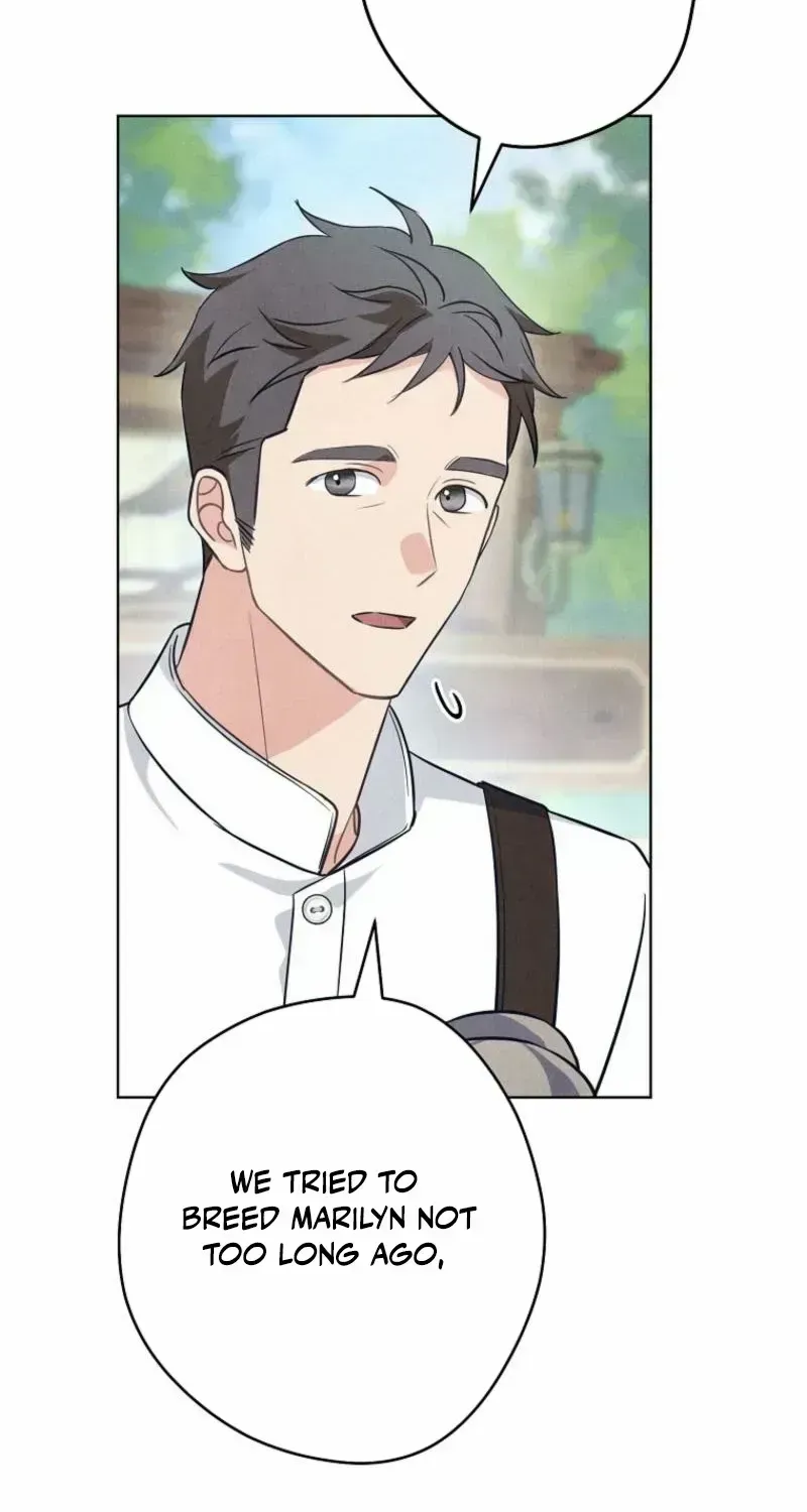 The Duke’s Wife Obsession Chapter 1.2 page 105 - 