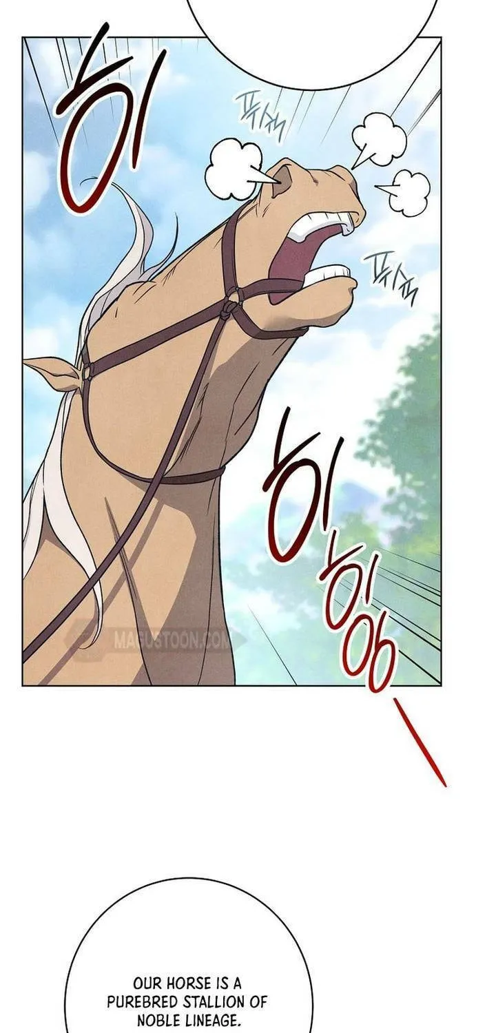 The Duke’s Wife Obsession Chapter 1 page 86 - 