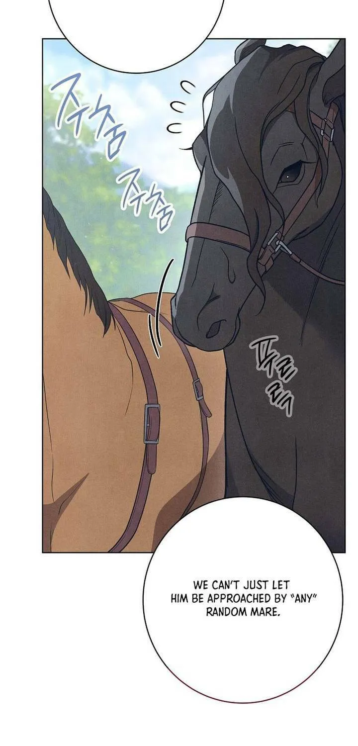 The Duke’s Wife Obsession Chapter 1 page 87 - 