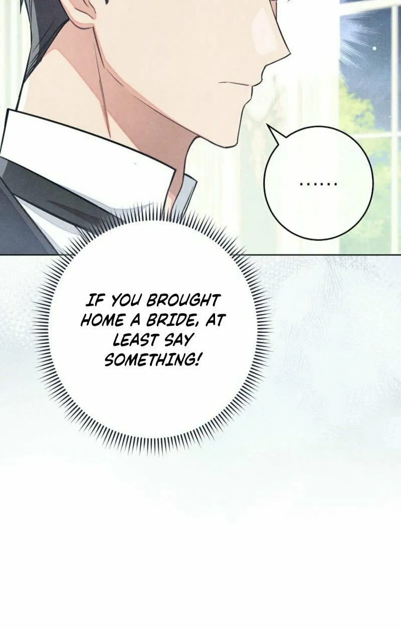 The Duke’s Wife Obsession Chapter 11 page 29 - 